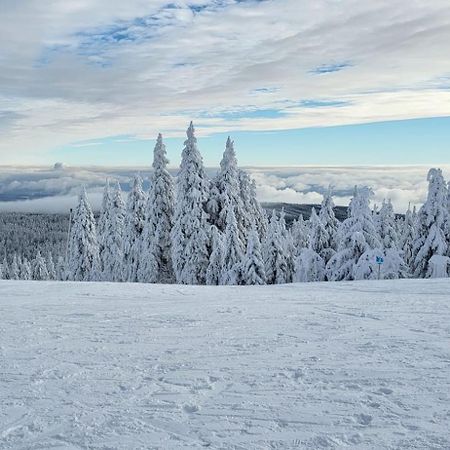 Chata Jeleni Drevenice S Vlastni Virivkou Horni Halze ภายนอก รูปภาพ