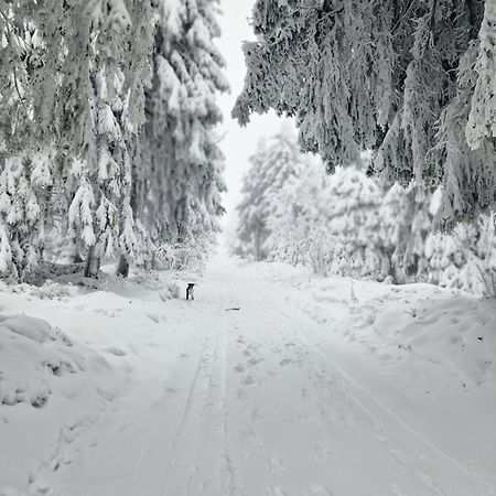 Chata Jeleni Drevenice S Vlastni Virivkou Horni Halze ภายนอก รูปภาพ