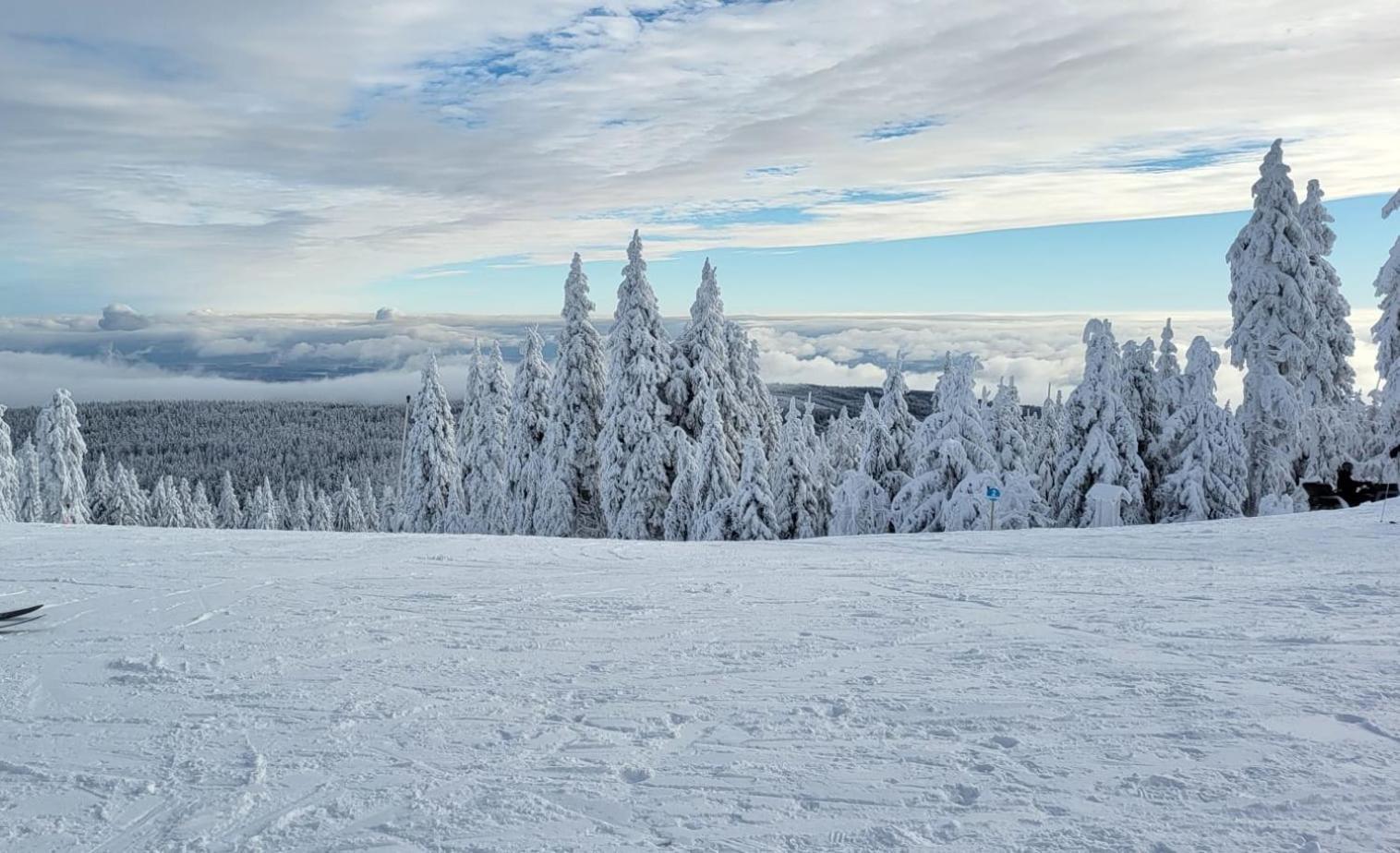 Chata Jeleni Drevenice S Vlastni Virivkou Horni Halze ภายนอก รูปภาพ
