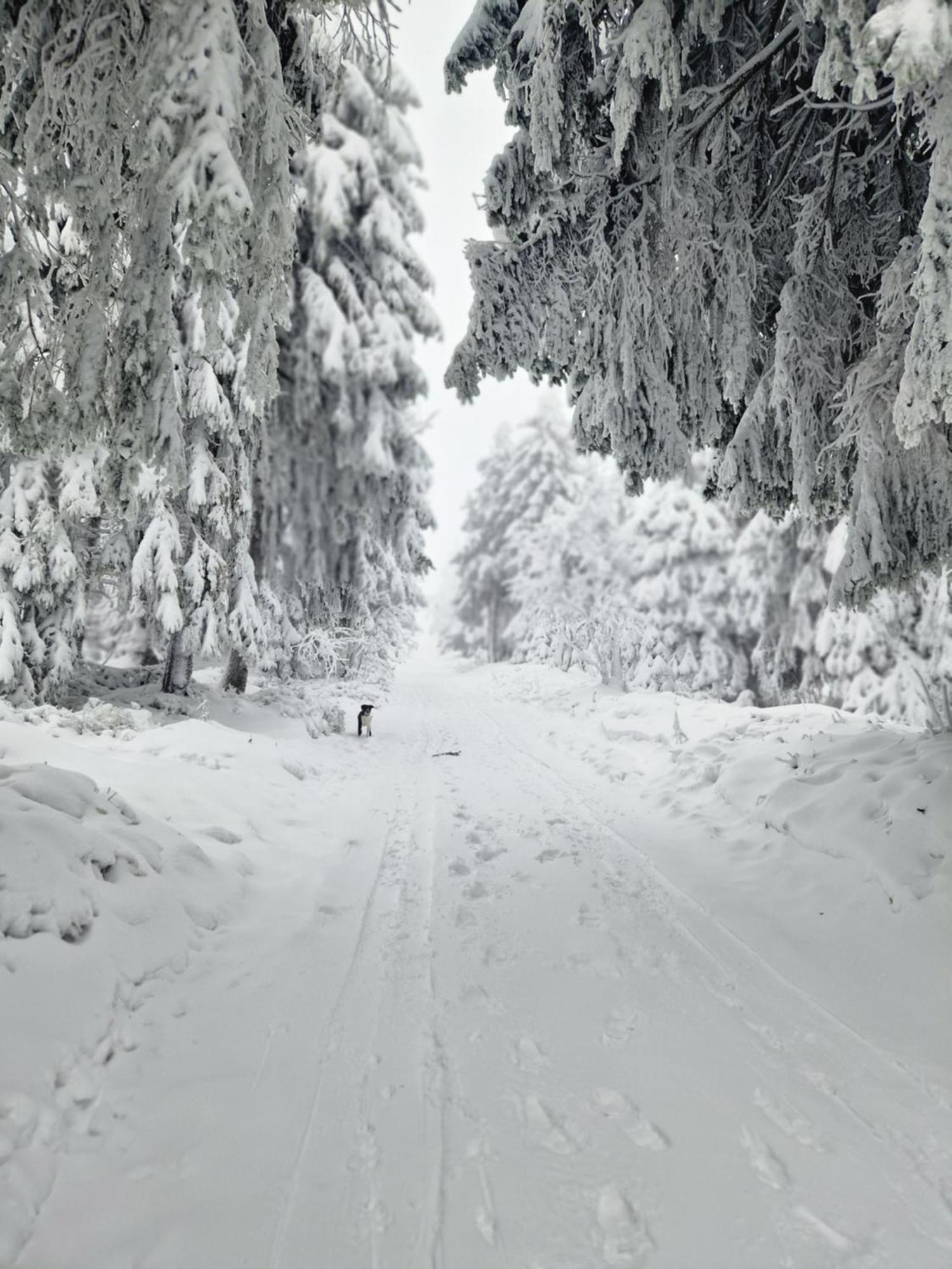 Chata Jeleni Drevenice S Vlastni Virivkou Horni Halze ภายนอก รูปภาพ