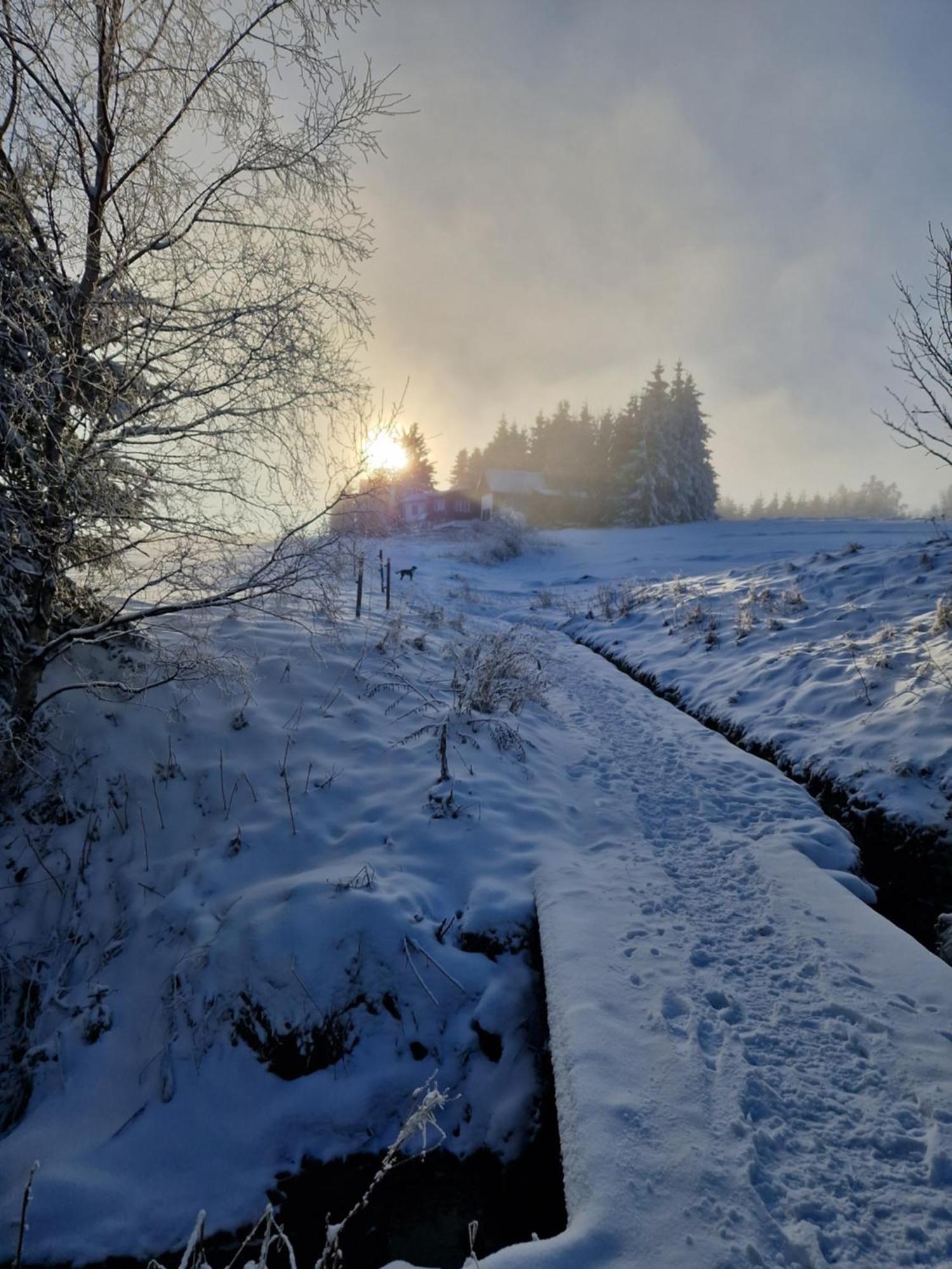 Chata Jeleni Drevenice S Vlastni Virivkou Horni Halze ภายนอก รูปภาพ